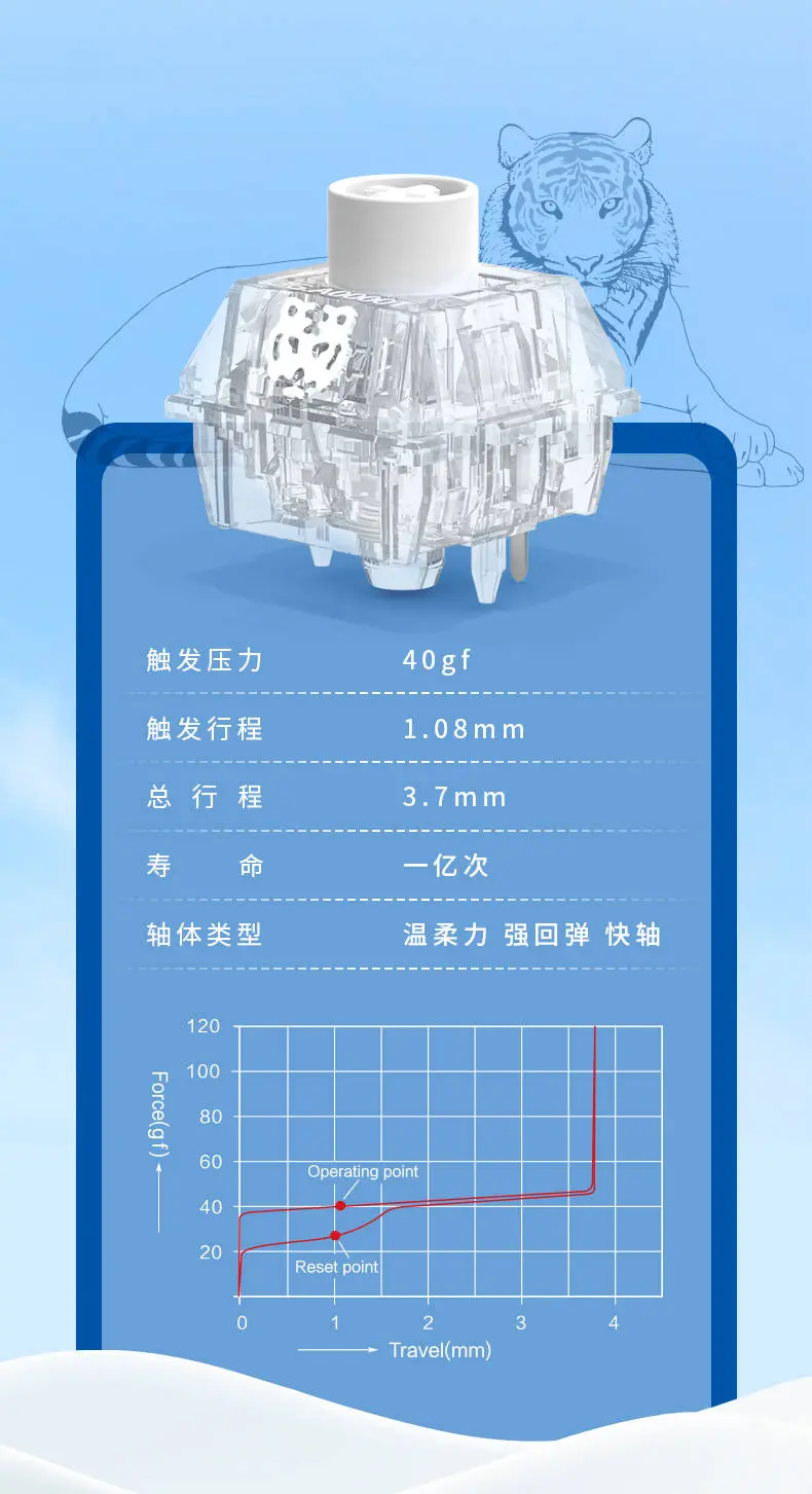 温柔力 强回弹 更透亮——TTC发布 雪虎轴