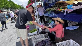 临沭县临沭街道：防范金融风险政策宣传“赶大集”