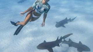 会玩迈阿密国际发布新球衣宣传片，美女模特与鲨鱼共舞