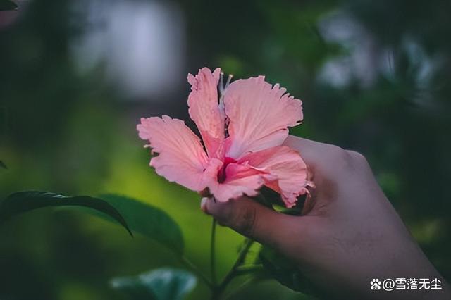 中年夫妻，切记别高估枕边人，“有些事”你得留个心眼