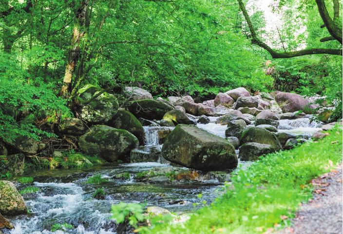 随春，去定安看山