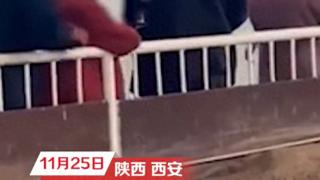 老太往兵马俑坑内吐痰扔烟头？博物馆回应：不允许抽烟，不知道打火机怎么带进去的，正在调查