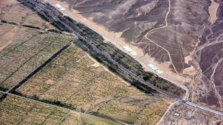 国家林草局公开辟谣：沙漠应不应该大面积植树造林？