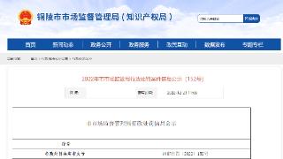 安徽省铜陵市市场监督管理局行政处罚信息公示（铜市监罚〔2022〕152号）