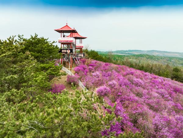 奔赴吉线秘境 驭见吉祥吉林｜自驾龙井市：这里有原生态的民族风情