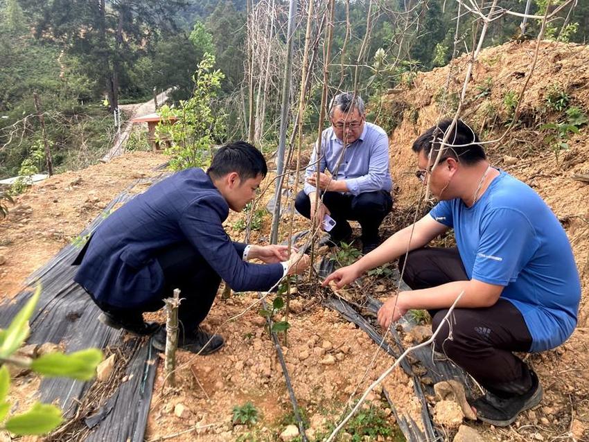 戎归决胜新战场 振兴路上建新功