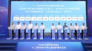 十二省市知识产权行政保护协作联盟在广州成立
