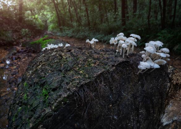 下焦湿热？3种原因3种方法，教你正确清湿除热