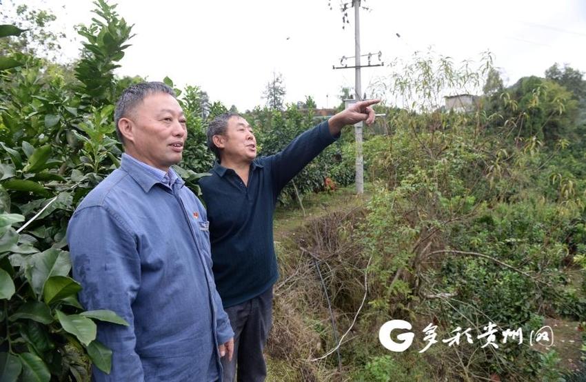 贵州·人物丨罗文武：“电”亮乡村振兴路 做好致富引路人