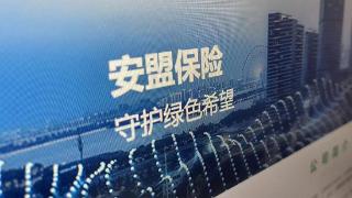 安盟财险因关联交易、关联方漏报等被罚47万，今年多次因数据不真实被罚