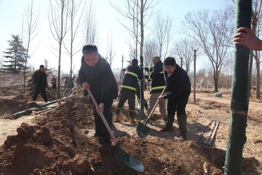 北京市顺义区赵全营镇： 履“植”尽责，义务植树为“林长制”添新绿