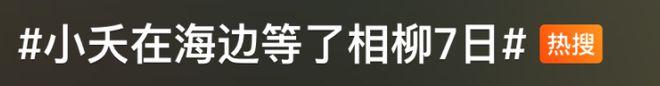 杨紫《长相思2》被怀疑加戏，相柳剧情魔改，粉丝磕CP陷入混战