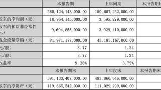 比亚迪双面半年报：业绩暴涨与挑战激增