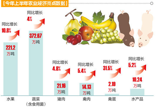 南宁“蔬果篮”“肉案子”量足类丰管够