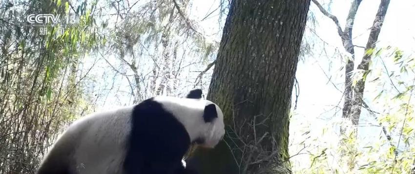 各领域活力足、数据“多点开花” 中国经济高质量发展积聚多重优势