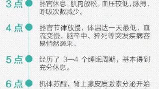 医生公布人体24小时时间表，不妨看看