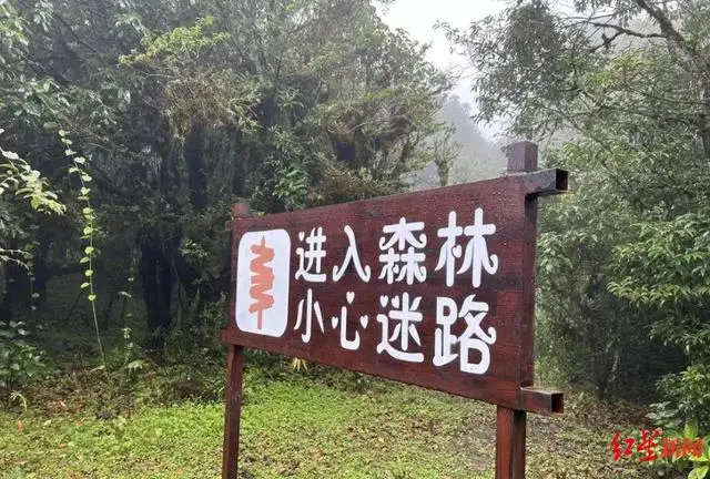 哀牢山爆火背后：向导称未来半个月徒步团已报满 几年前曾有居民狩猎时误杀同伴