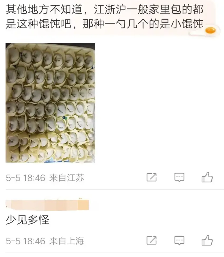 笑麻！山东10个馄饨250克吃懵南方人，网友:小见多怪，评论区炸锅