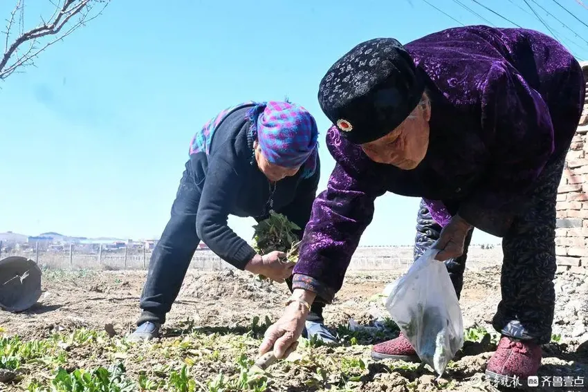 拾光|淄博101岁老人，忙农活缝衣服做家务闲不住