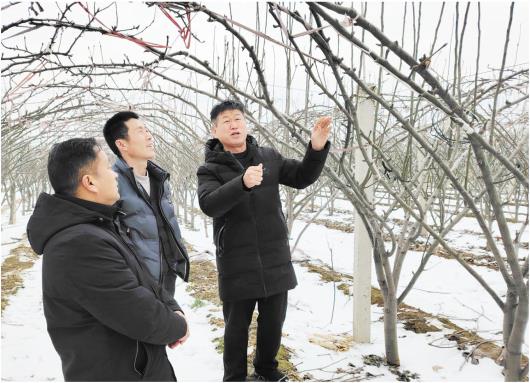 再遇寒潮，种植户该如何应对