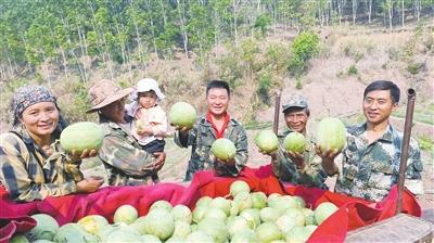 昆格村的西瓜熟啦