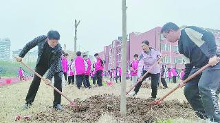 植树添绿 美化校园