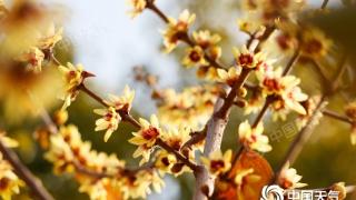 元旦期间我国迎弱冷空气活动，北方降温西南地区多阴雨雪