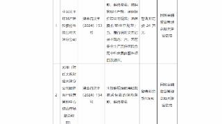 因未按规定使用经备案的保险费率等，太平洋财产保险被罚24万元