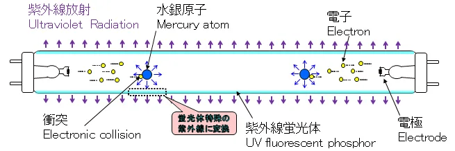 TCL华星以技术赋能，砥砺绿色发展