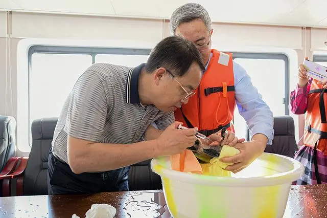 十年禁渔看长江：重庆水生物多样性恢复向好，上岸渔民“稳得住”