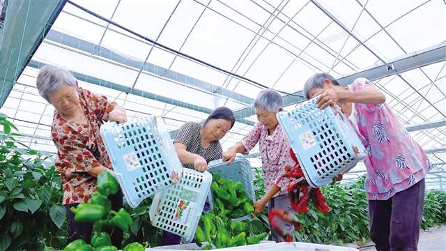 铜梁 加速推进巴渝和美乡村示范建设