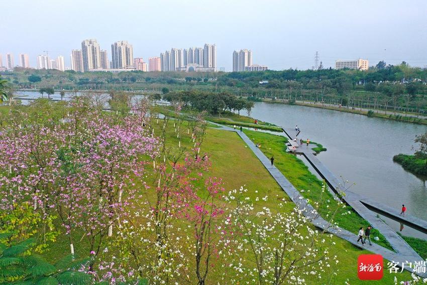 万绿园花海绽放市民和游客前来赏花观景留影