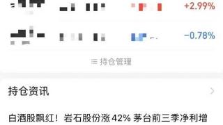 95后硕士炒股一月狂赚112万上热搜 丈母娘资助100万