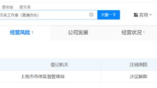 袁娅维名下上海工作室拟注销 原因为决议解散