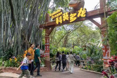 长隆科莫多龙馆“龙”重登场，一起花样过新年