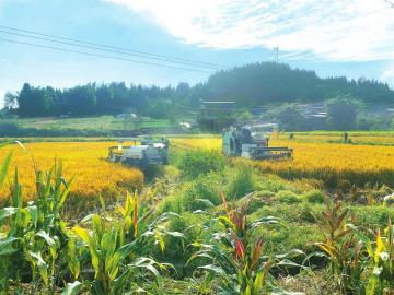 农博会上看金融：建行四川省分行以新金融行动助农兴产