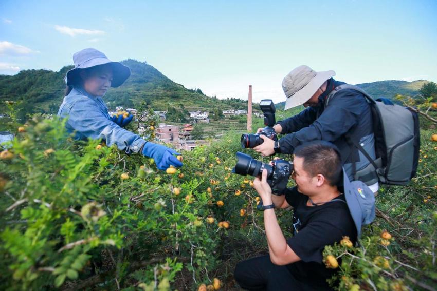 “深入生活·扎根人民——摄影大篷车下基层”主题摄影采风创作活动走进七星关