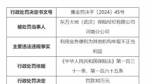 因利用业务之便谋利益，武汉东方大地保险河南分公司被罚30万元
