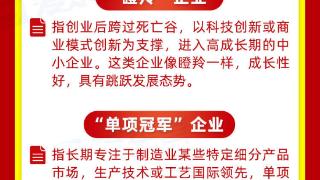 一图读懂丨高能！32个新词、热词带你前瞻东营未来！