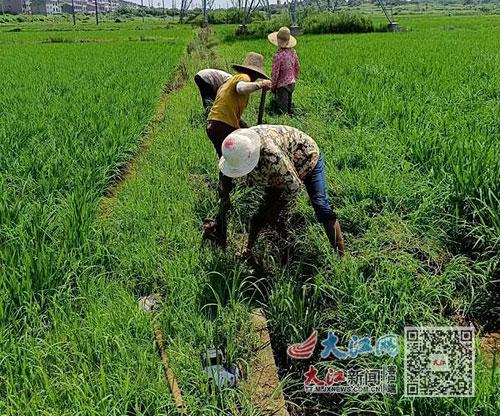 夏季清淤保丰收