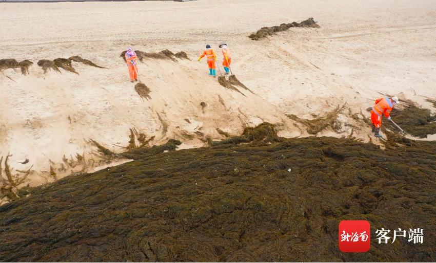 海口五源河湿地环卫工人清理海草