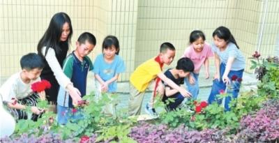 小学生为植物绘制“身份证”