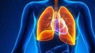 肺也有自己最怕的“敌人”，只有知己知彼，才能高效护肺