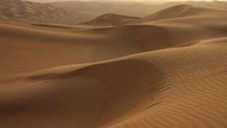 数万名参加美国“火人节”的游客因暴雨被困黑石沙漠