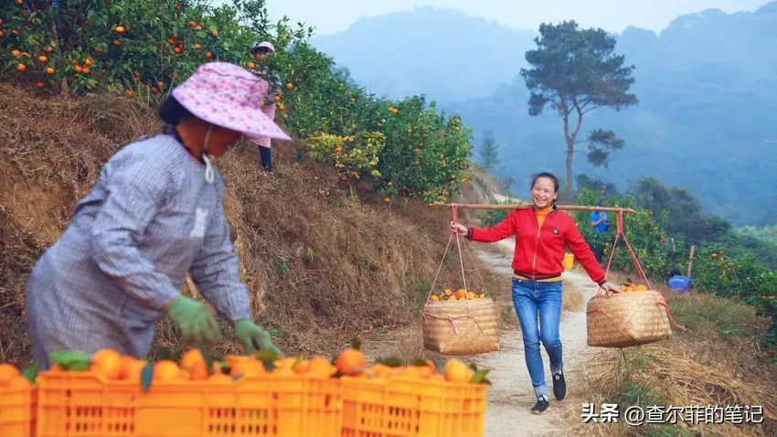 她是40岁广西妇女，从月薪3000到年入千万，开公司还上央视，为啥