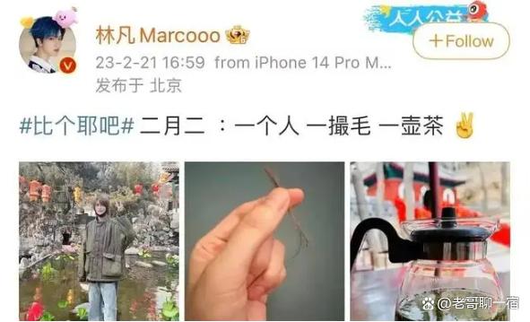 杨幂被曝和林凡同居，林凡被扒做过台T，杨幂现在的取向被质疑