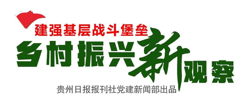 建链条、扩规模、亮品牌 | 锦屏县鹅产业链年产值超10亿元