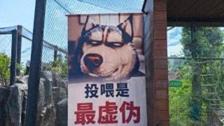 规劝游客勿投喂，武汉动物园的这些趣味标语火了！