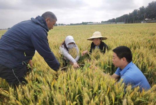 未雨绸缪防汛期 寒亭区气象局严阵以待部署2023年极端天气预防工作