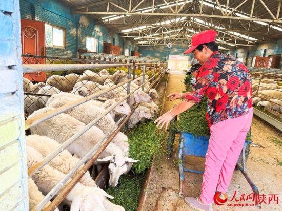 跟着总书记看中国丨山沟沟里日子越过越红火